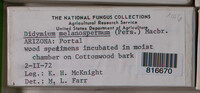 Image Associated With the Occurence